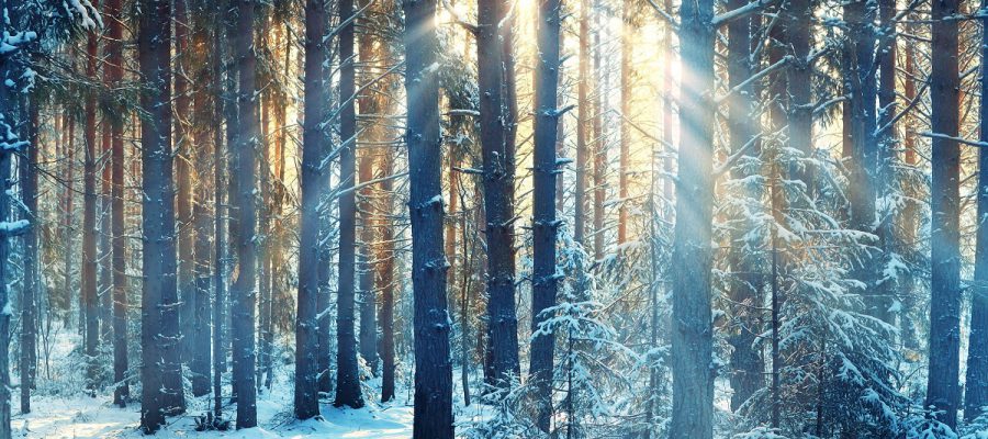 UK: Beat the Post-Holiday Winter Blues